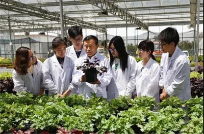 扎根濰坊大地，助力‘三農’發展 濰坊職業學院的農業技術研究實踐